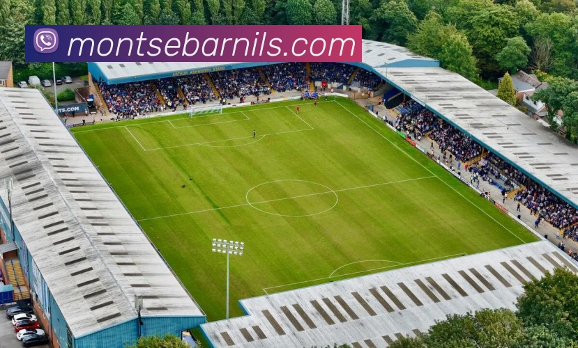 奖项证书